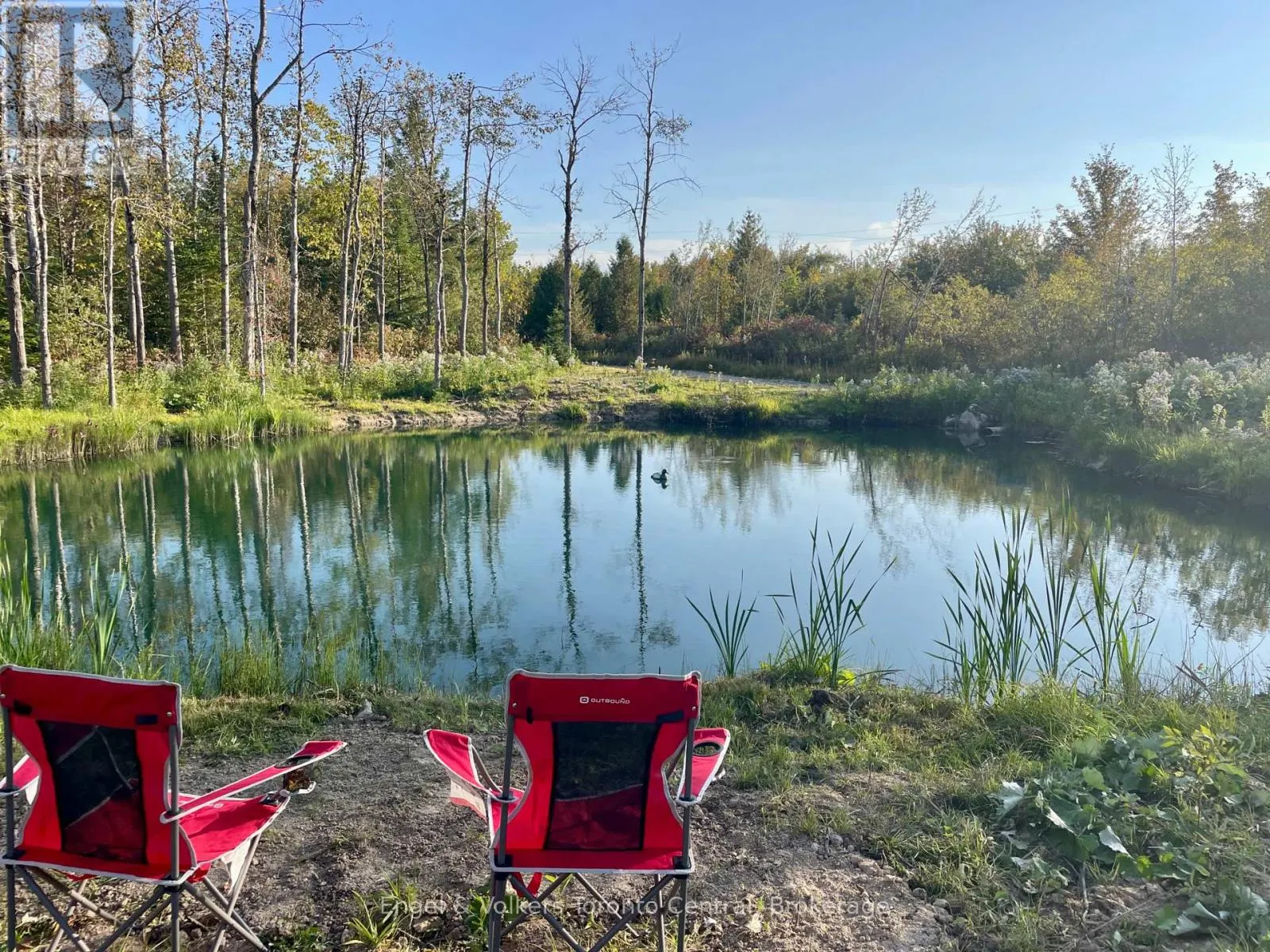 429571 8TH B CONCESSION