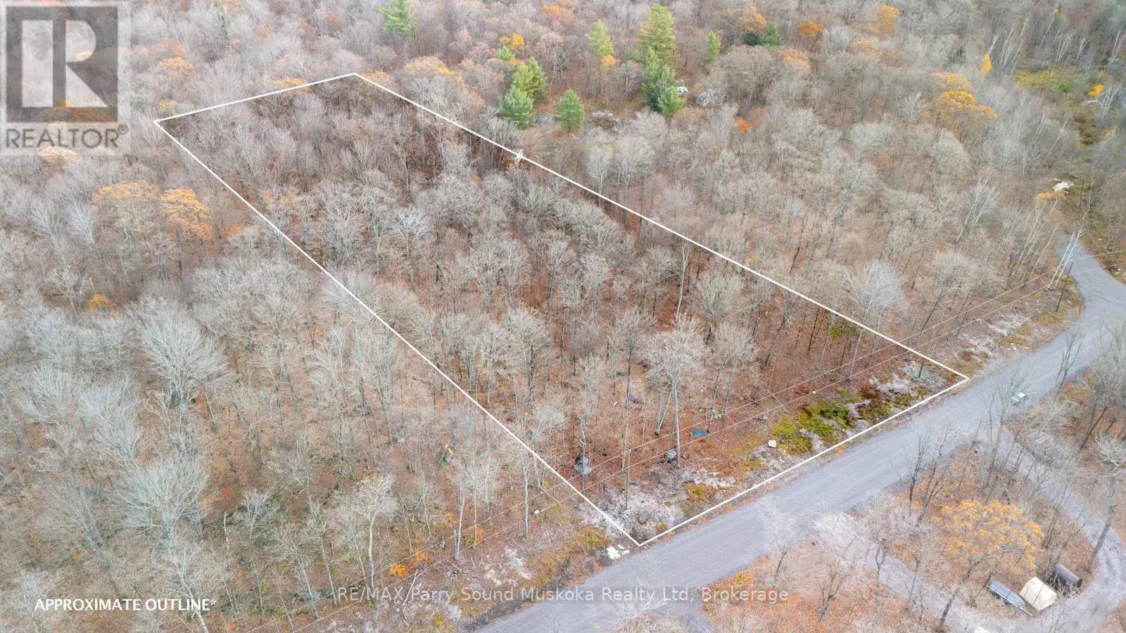 Team Marshall @ RE/MAX Parry Sound-Muskoka Realty Ltd., Brokerage photo 3