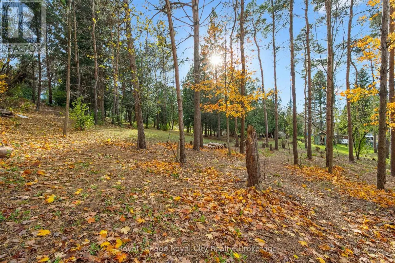 4769 WELLINGTON ROAD 32 ROAD