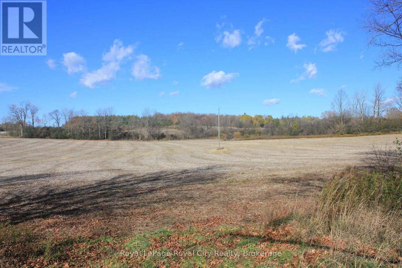 4507 CONCESSION 7 ROAD