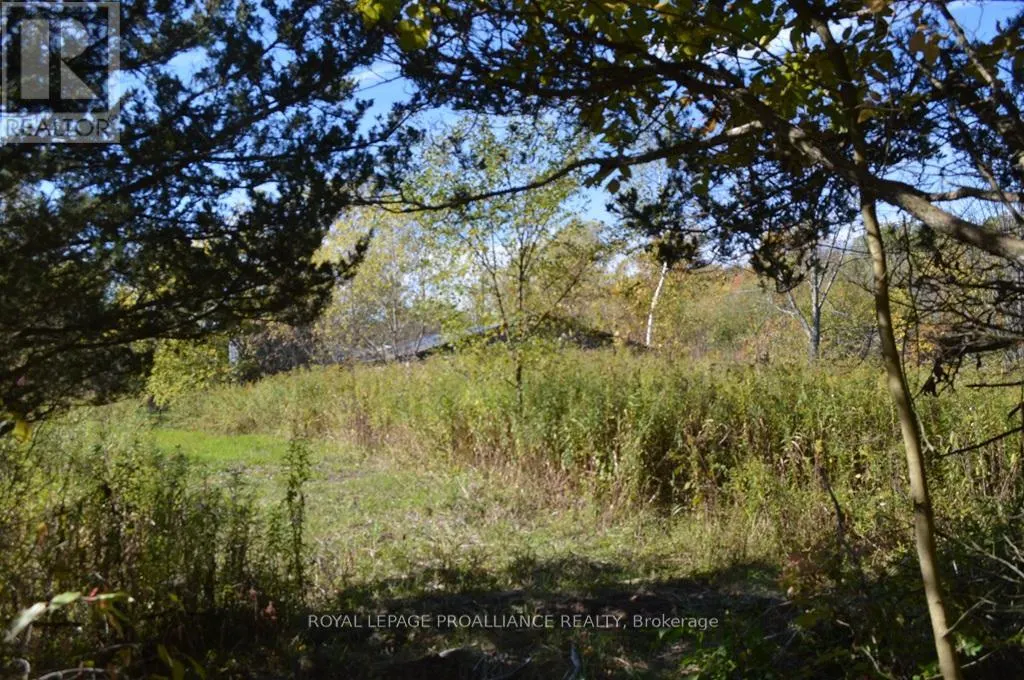 00 SCRIVER ROAD