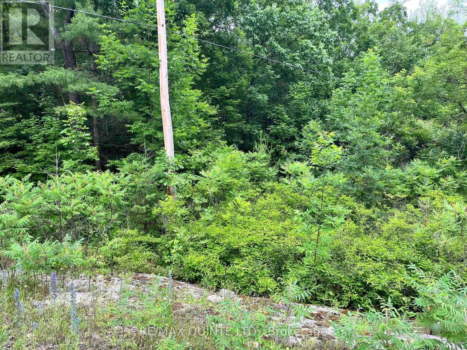 0 (PIN - 40264-0091) POTTER SETTLEMENT ROAD