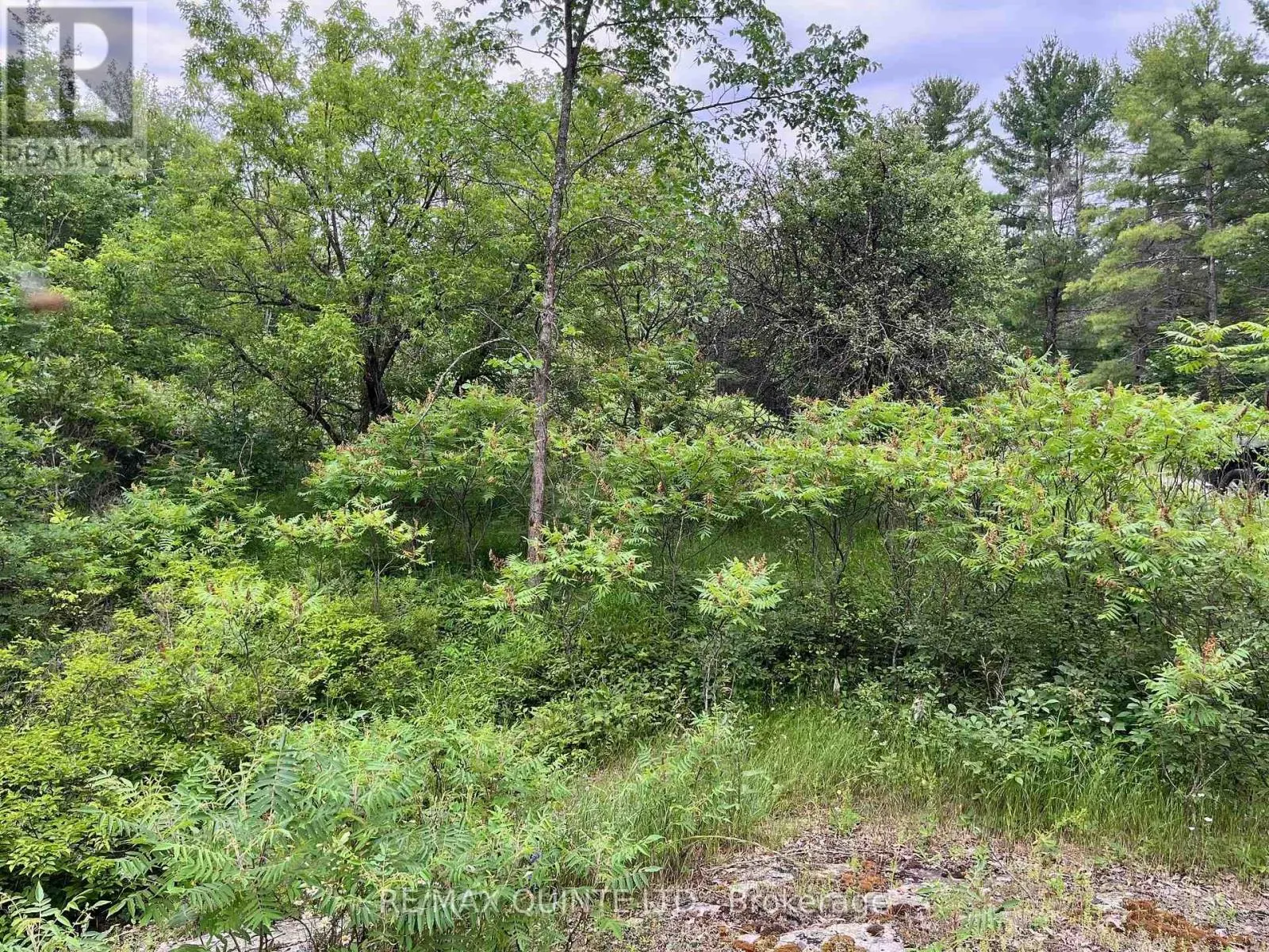 0 (PIN - 40264-0091) POTTER SETTLEMENT ROAD