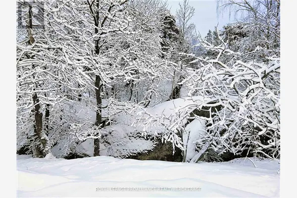 384 BIG CROSBY LAKE ROAD