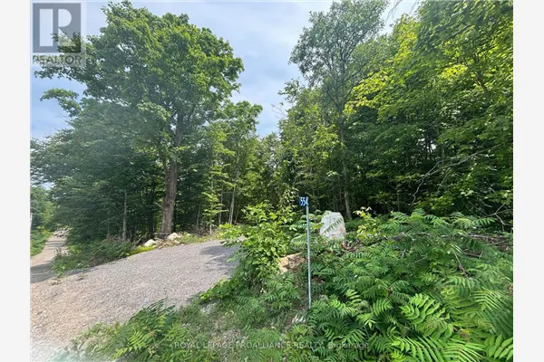 SEVERED B - 554 PIGDEN ROAD #Severed B