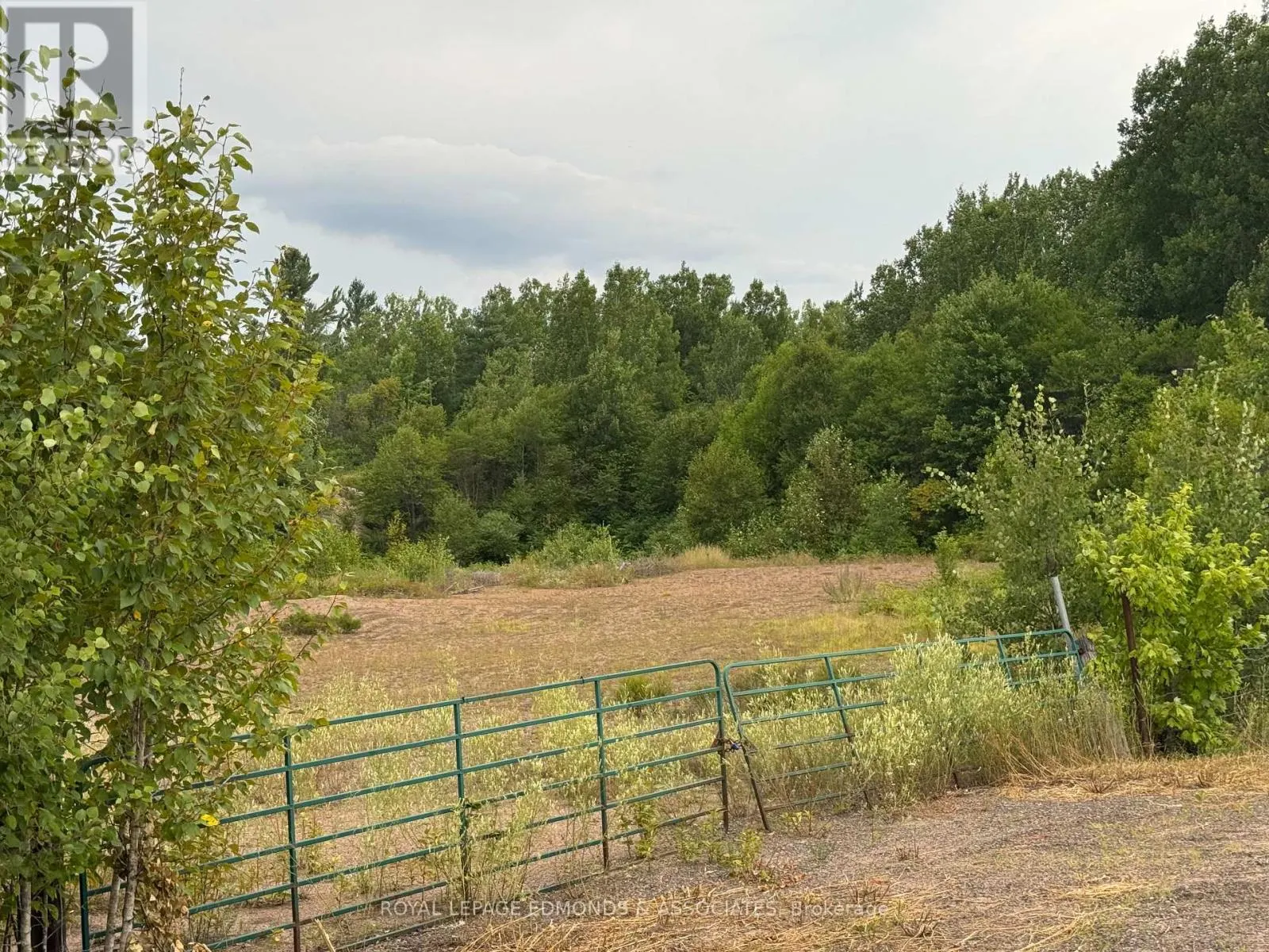 705 RANTZ ROAD