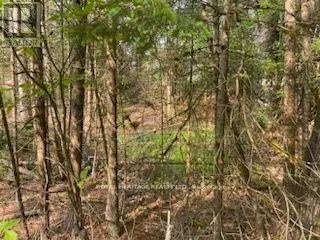 17556 HIGHWAY 62