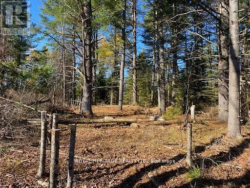 17556 HIGHWAY 62