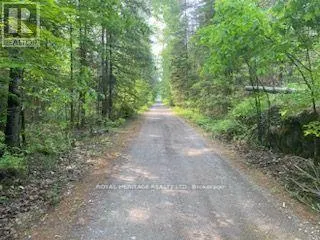 17556 HIGHWAY 62