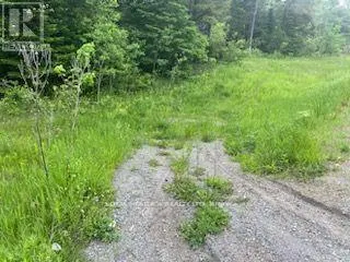 17556 HIGHWAY 62