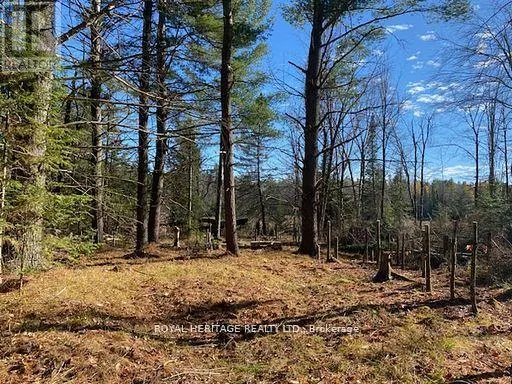 17556 HIGHWAY 62