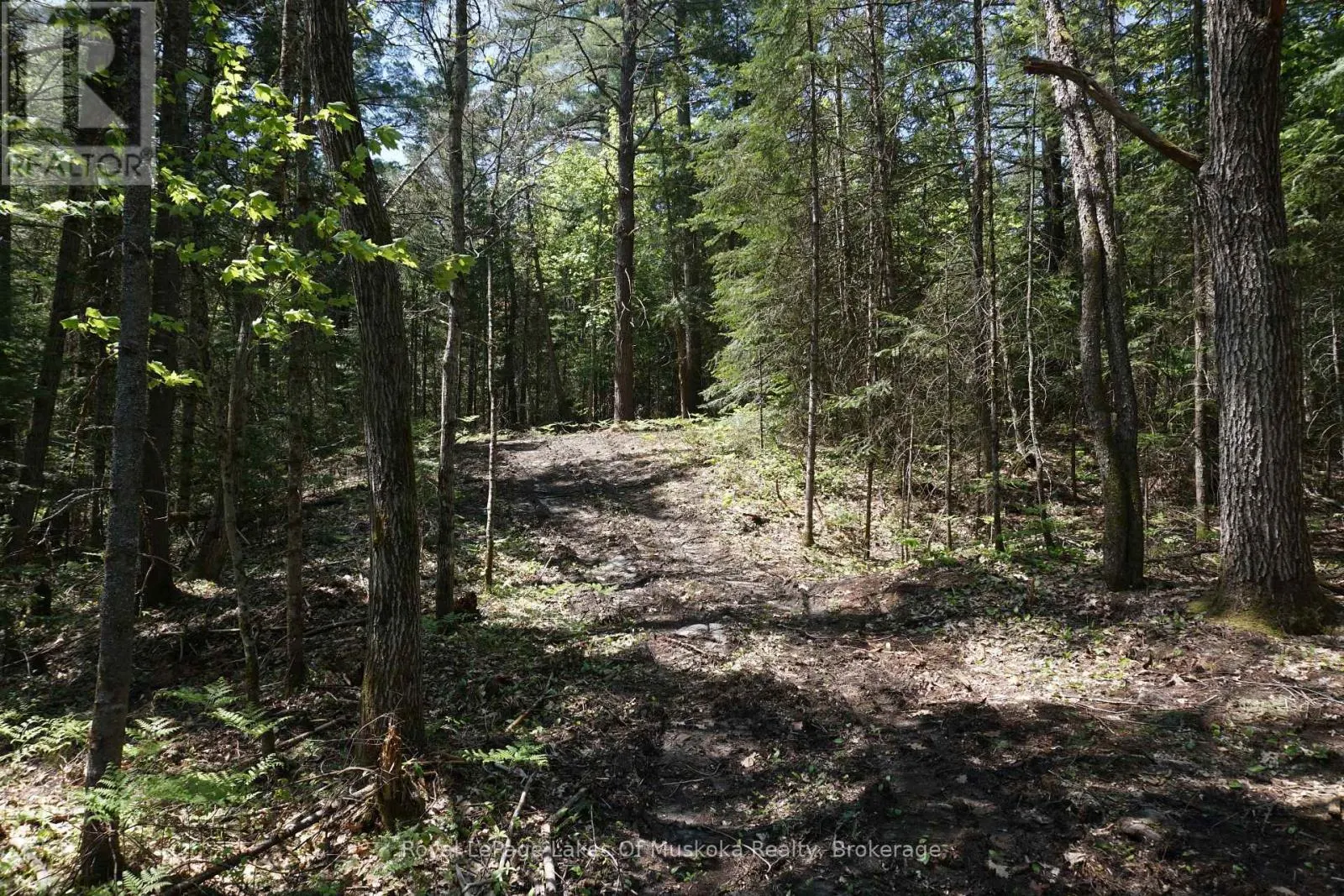 LOT 1 FAIRY FALLS ROAD NW