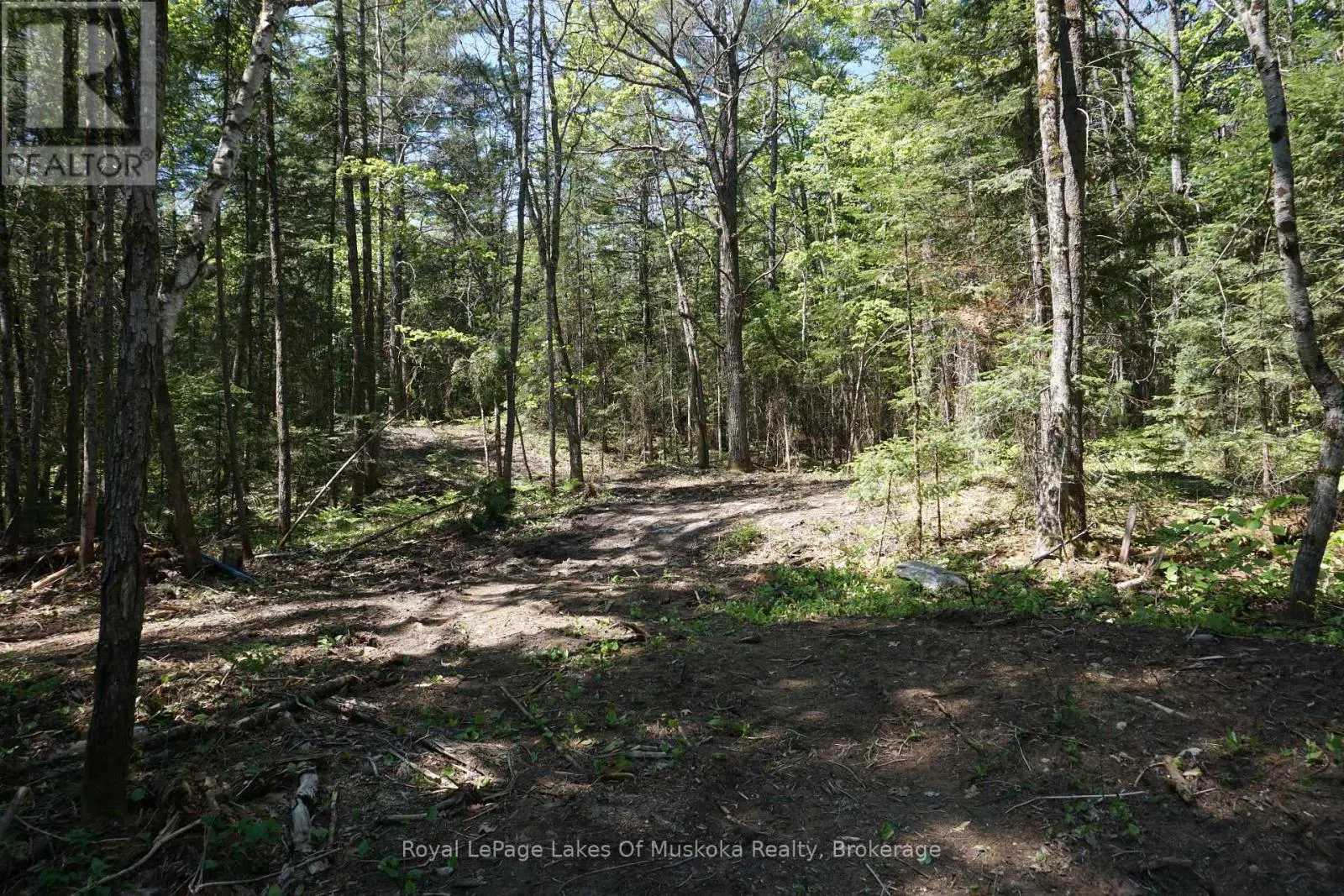 LOT 1 FAIRY FALLS ROAD NW