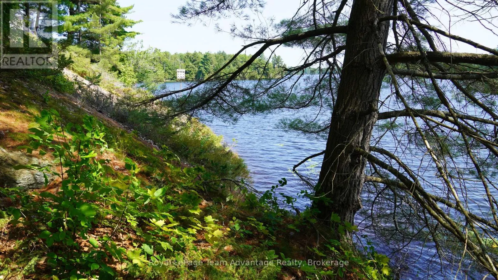 25 PENINSULA SHORE ROAD E