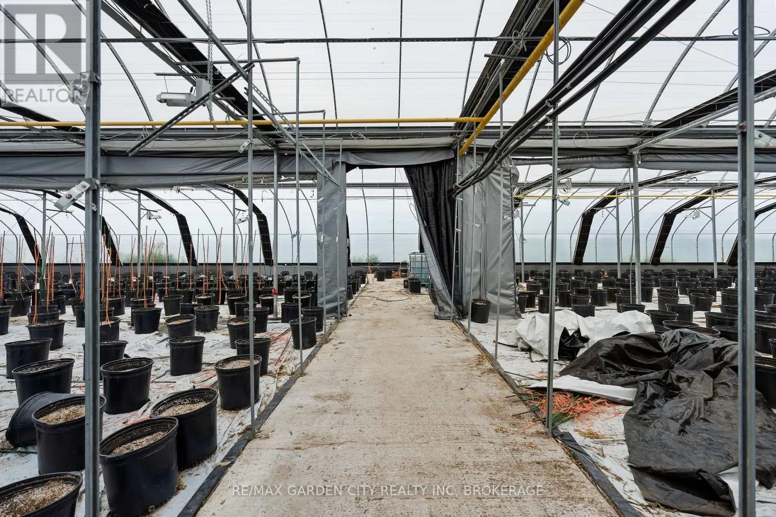 GREENHOUSE - 53825 ZION ROAD #Greenhouse