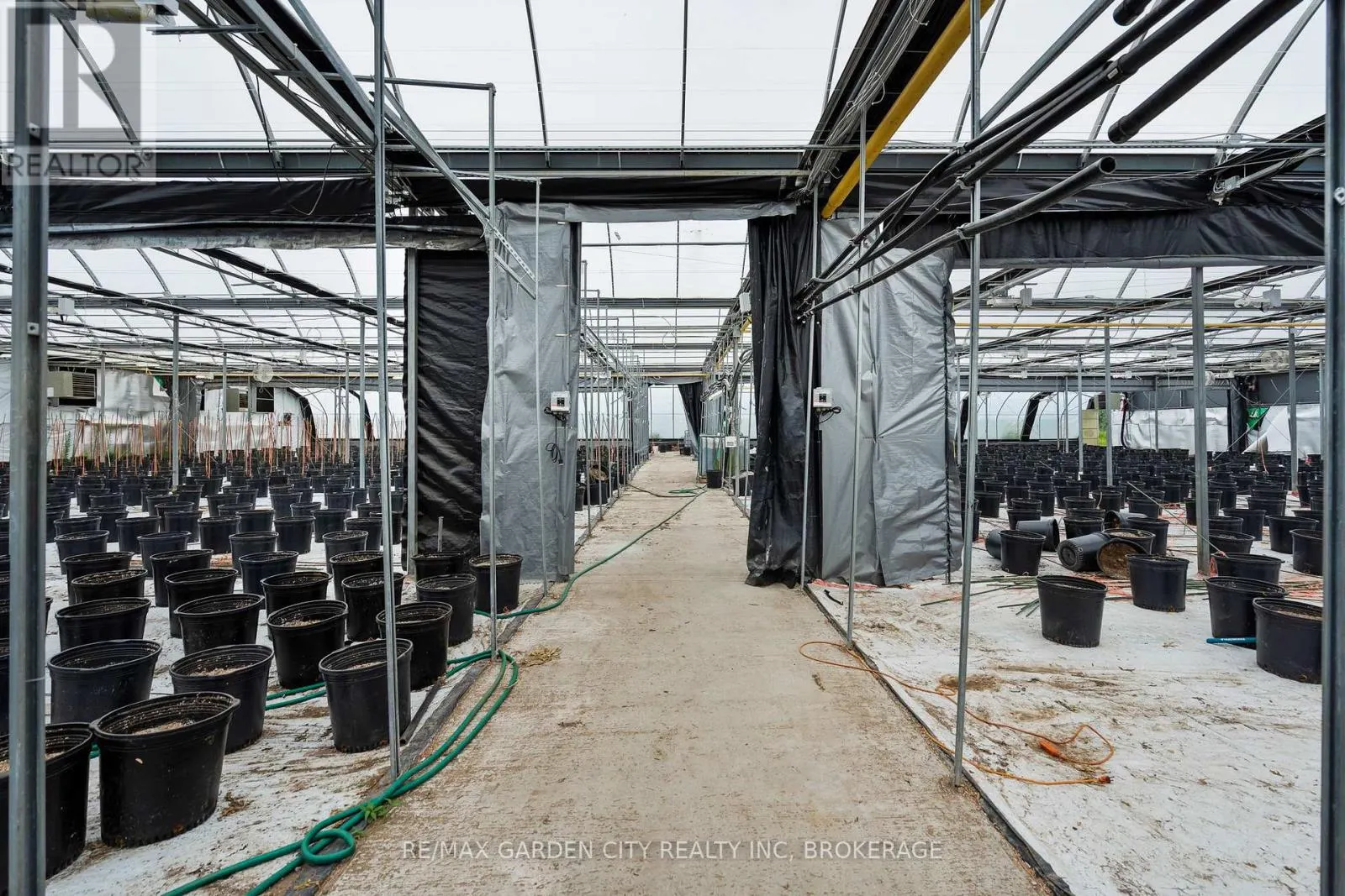 GREENHOUSE - 53825 ZION ROAD #Greenhouse