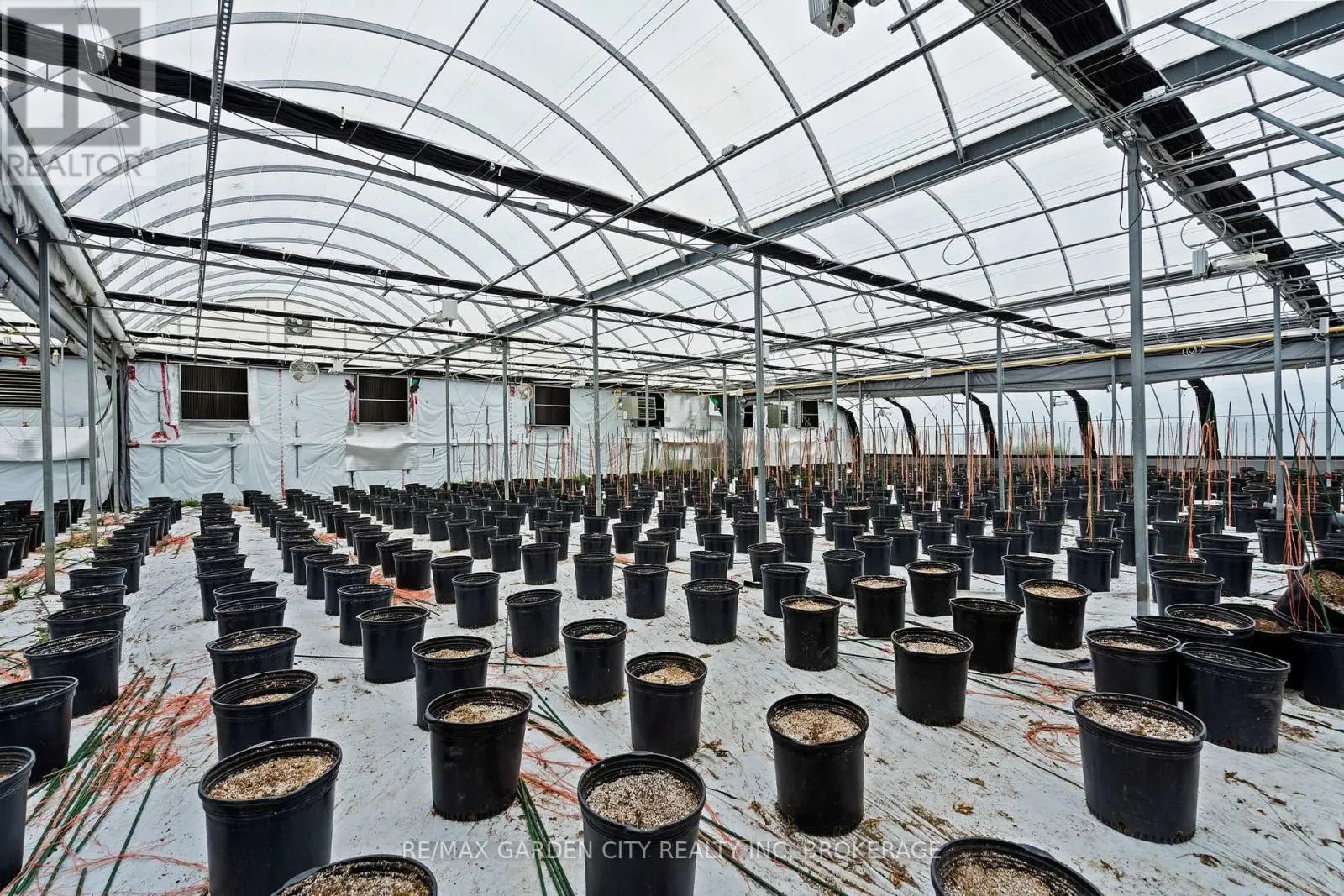 GREENHOUSE - 53825 ZION ROAD #Greenhouse
