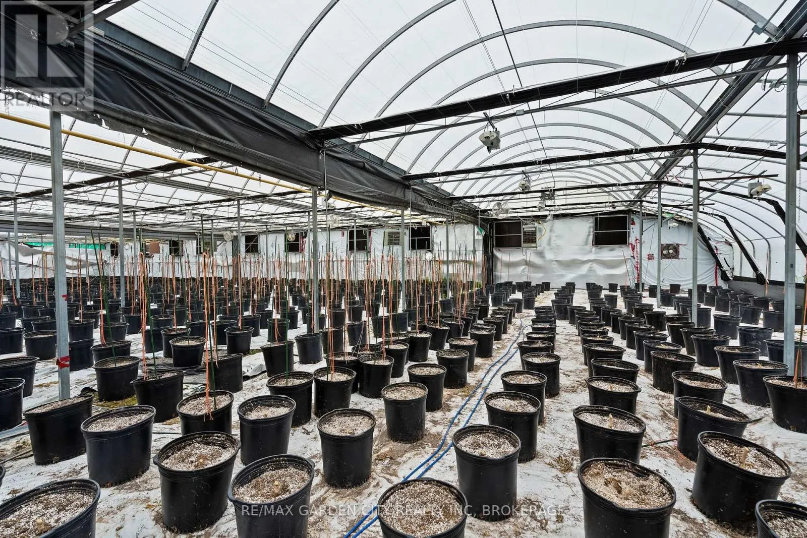 GREENHOUSE - 53825 ZION ROAD #Greenhouse