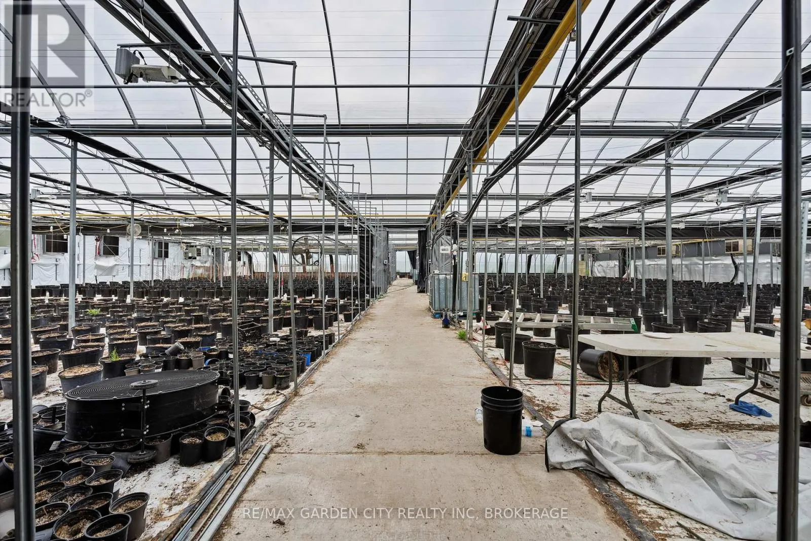 GREENHOUSE - 53825 ZION ROAD #Greenhouse