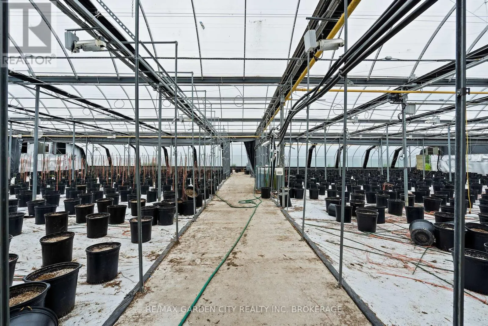 GREENHOUSE - 53825 ZION ROAD #Greenhouse