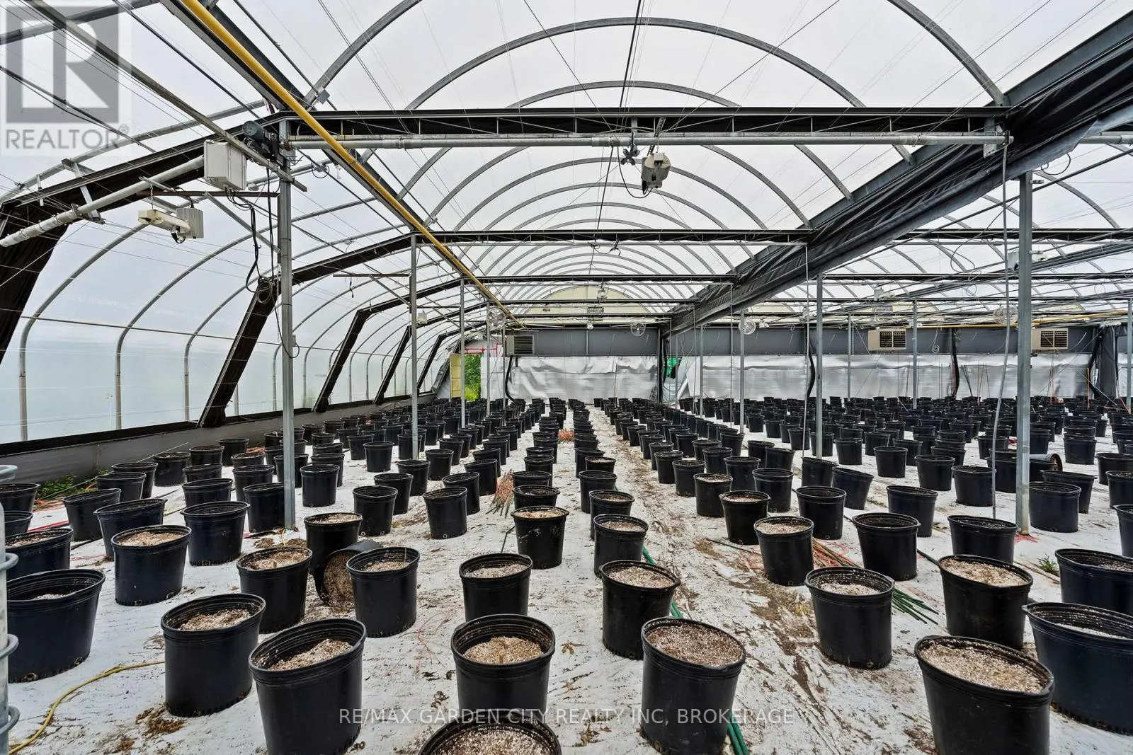 GREENHOUSE - 53825 ZION ROAD #Greenhouse