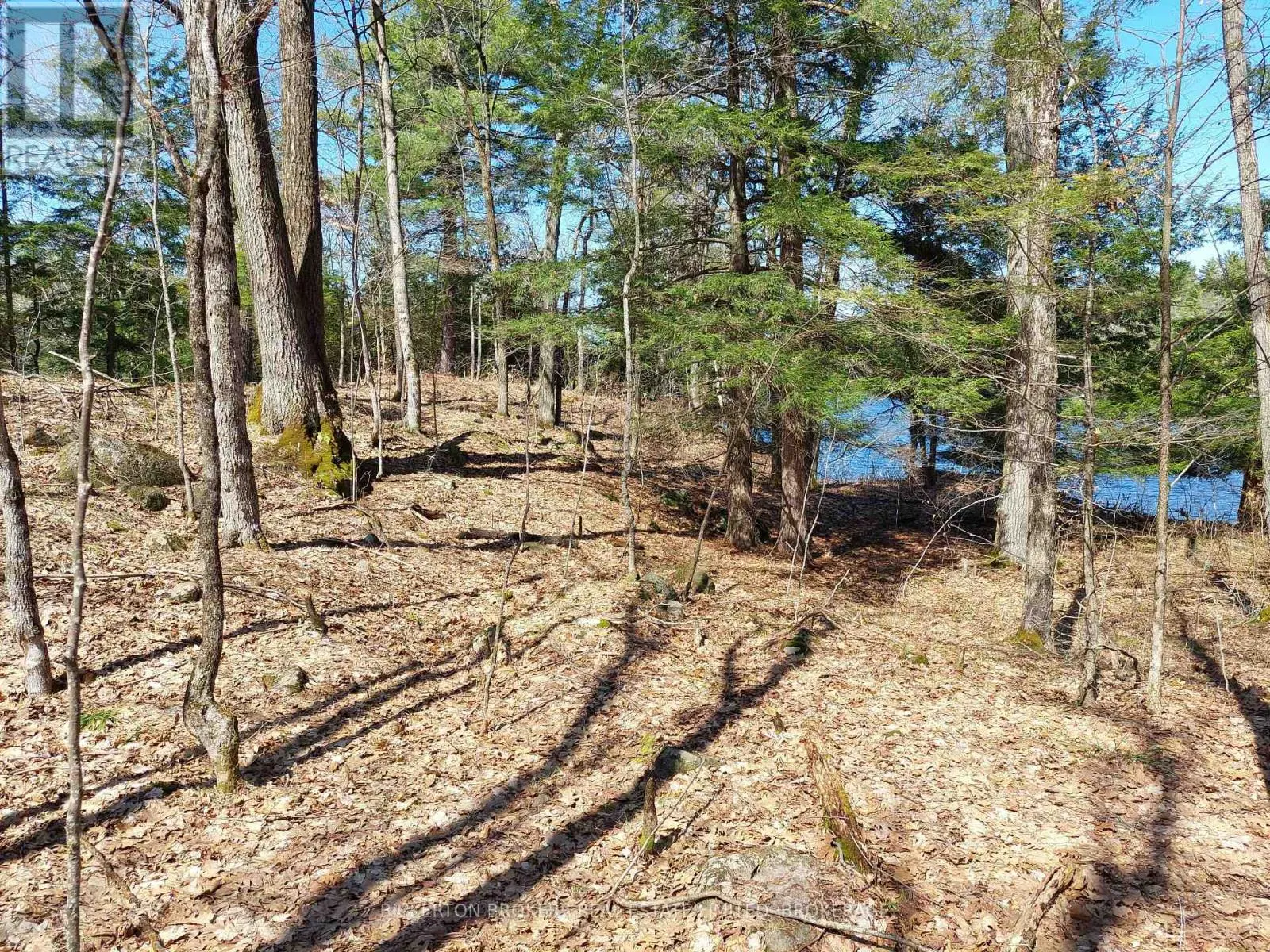 0 MURPHY'S ISLAND
