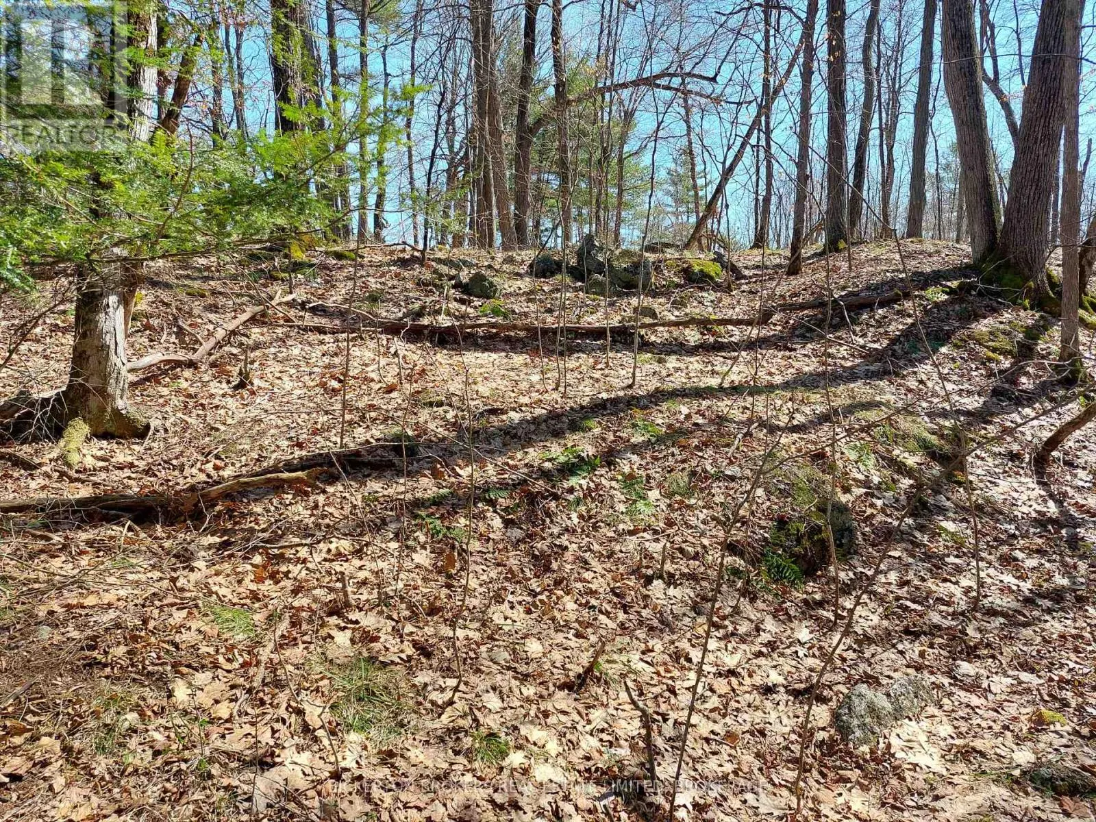 0 MURPHY'S ISLAND