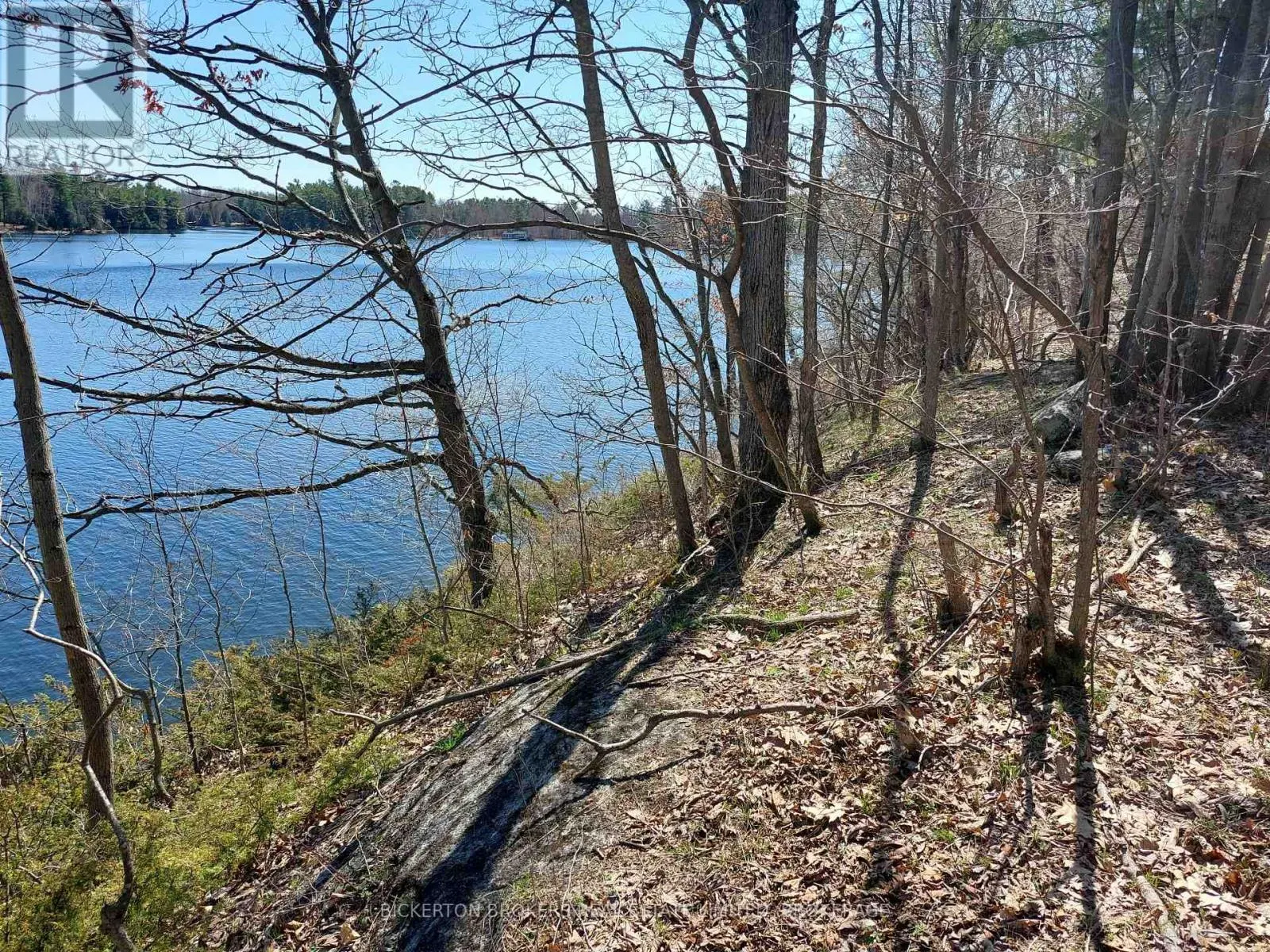 0 MURPHY'S ISLAND