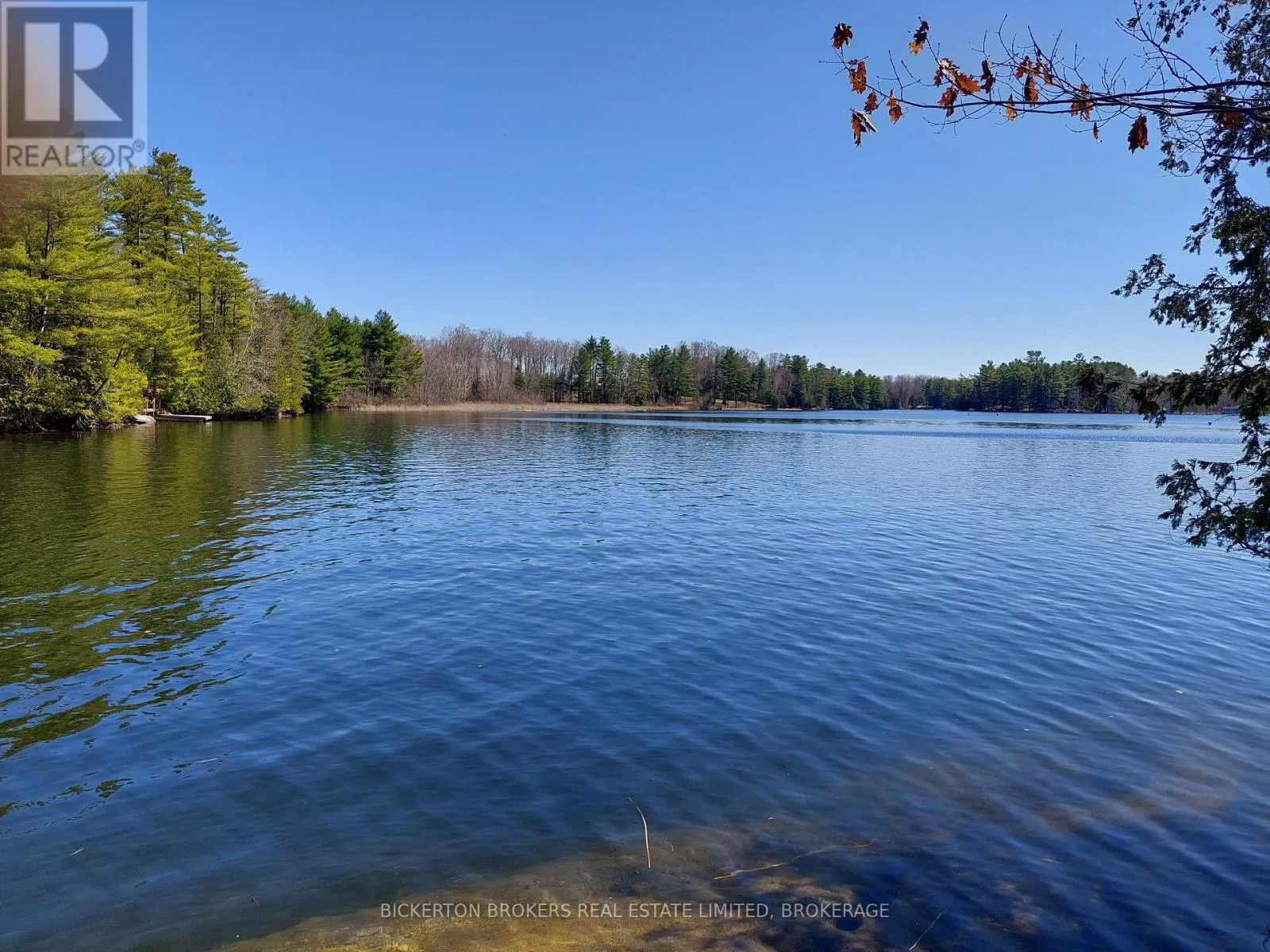 0 MURPHY'S ISLAND