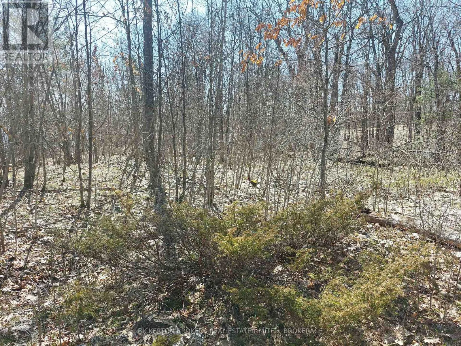 0 MURPHY'S ISLAND
