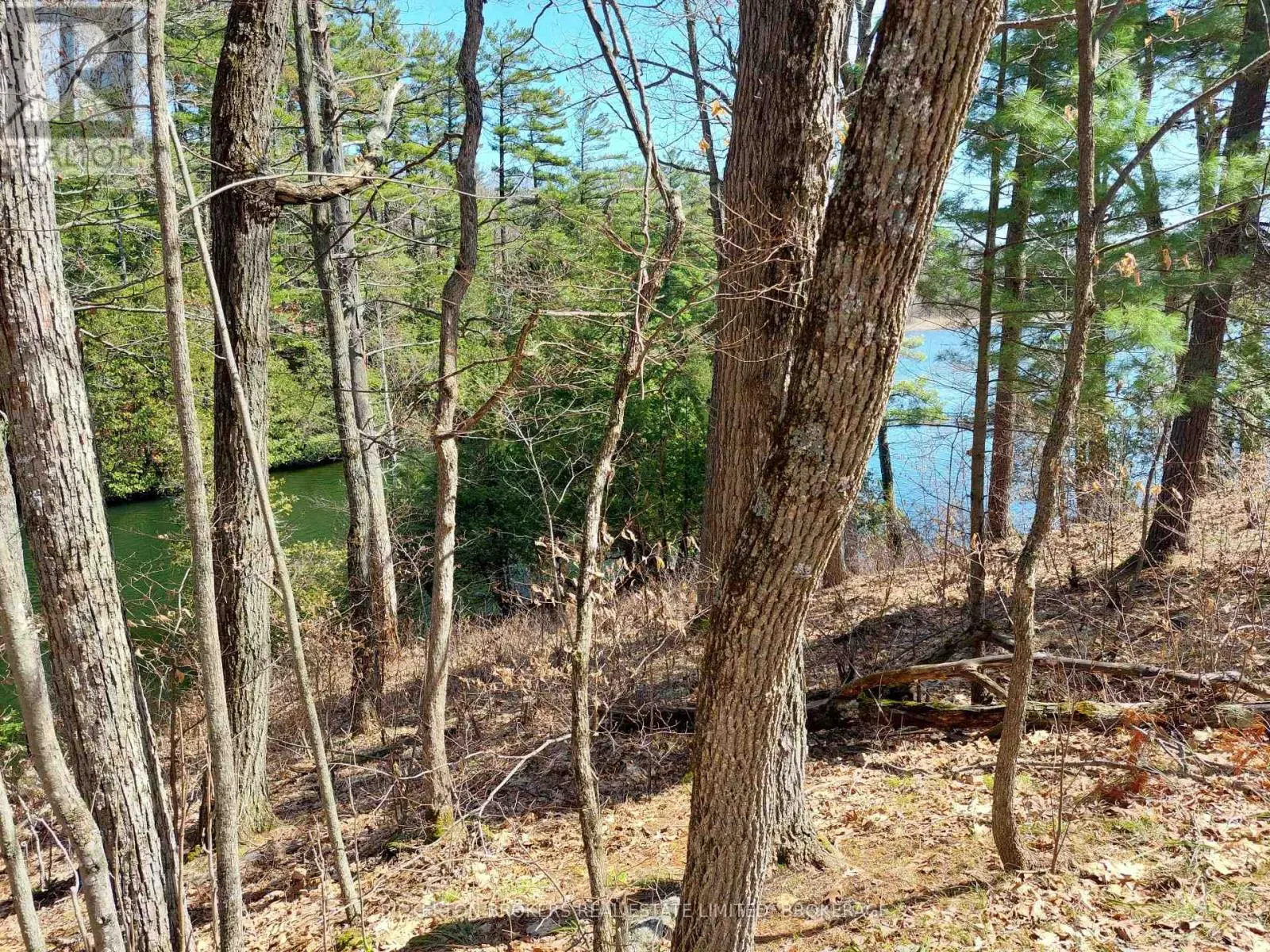 0 MURPHY'S ISLAND
