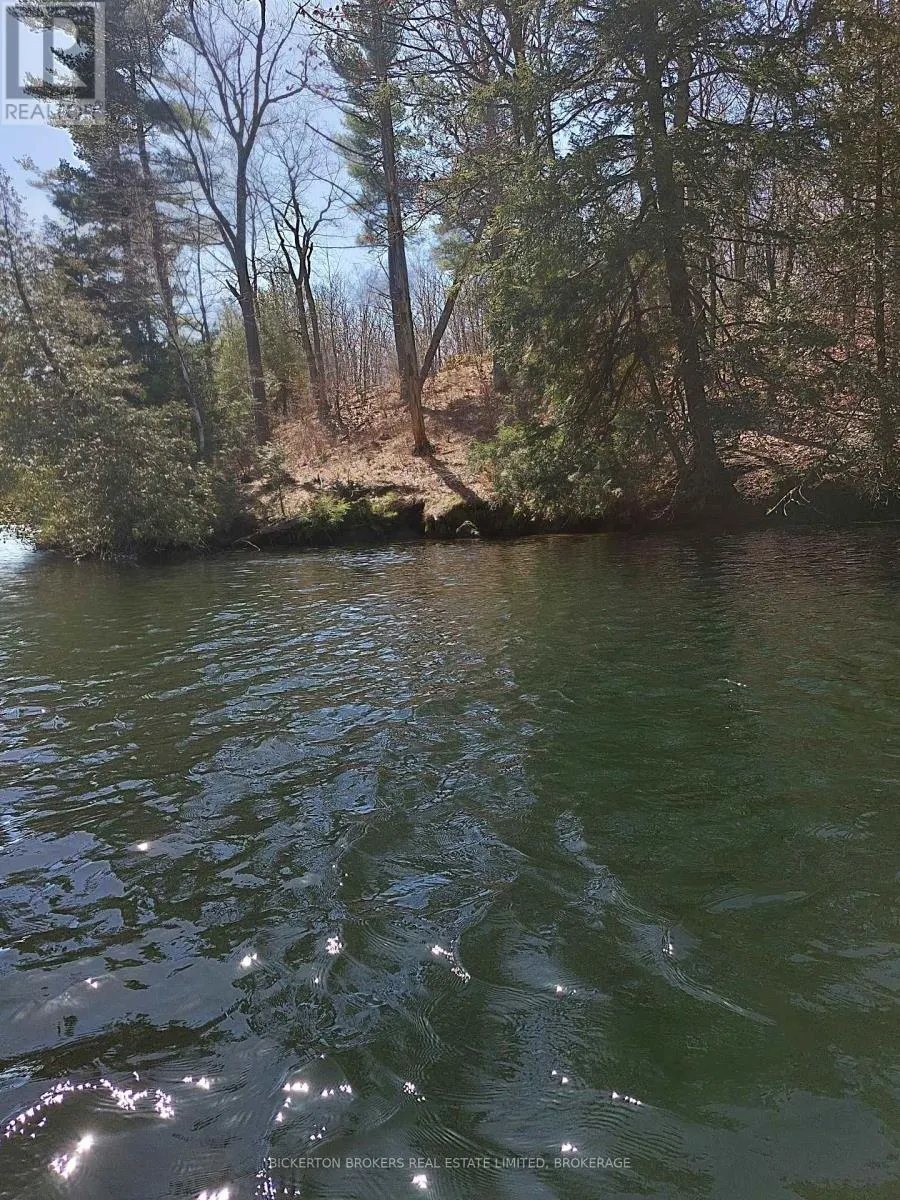 0 MURPHY'S ISLAND