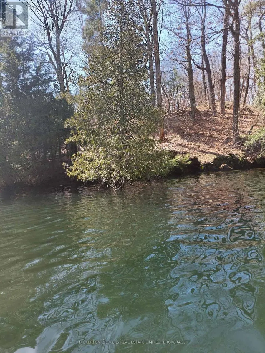 0 MURPHY'S ISLAND