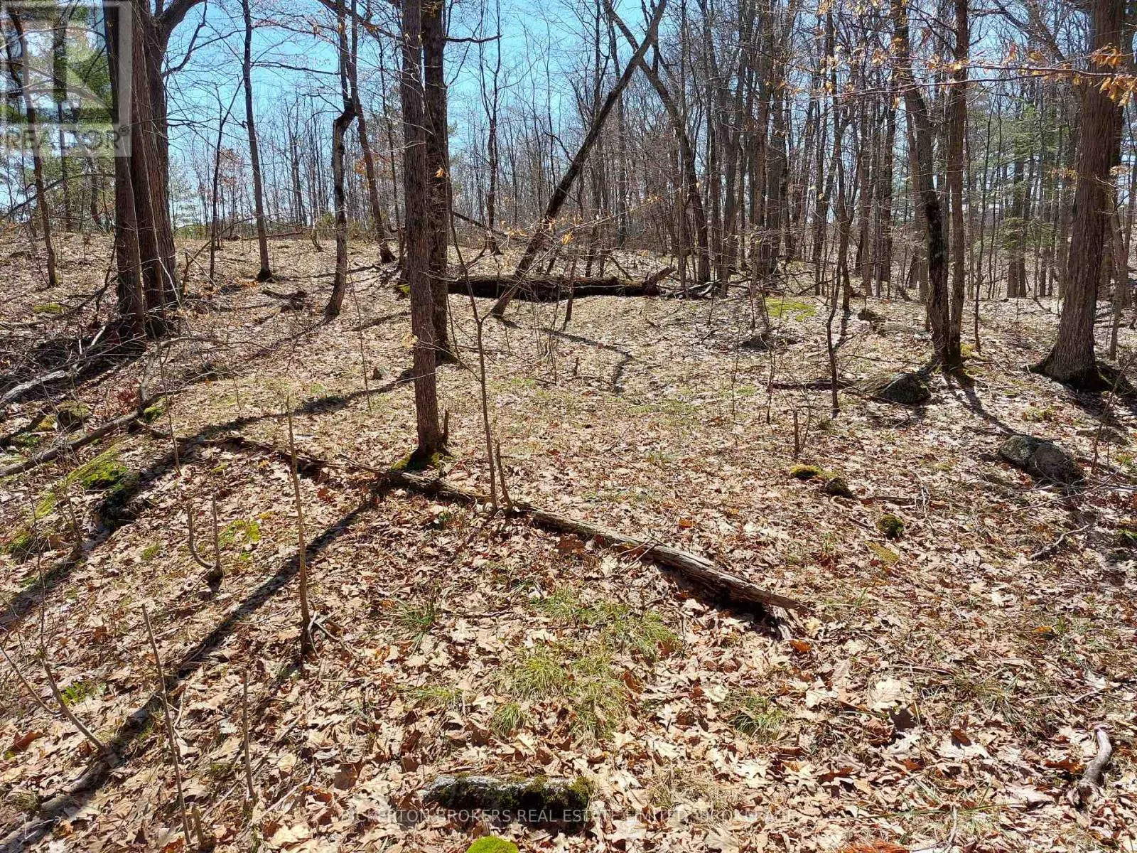 0 MURPHY'S ISLAND