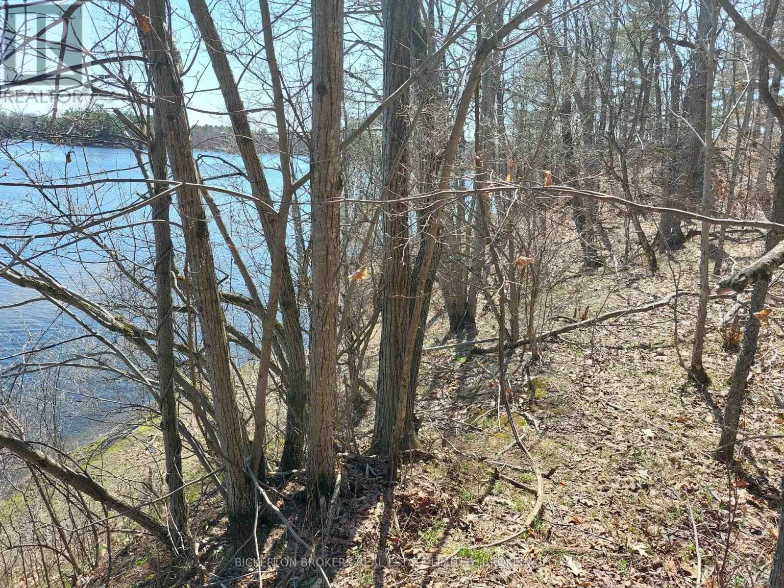 0 MURPHY'S ISLAND
