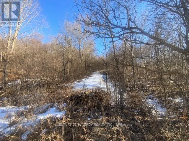 00 LOT 2 COUNTY10 ROAD