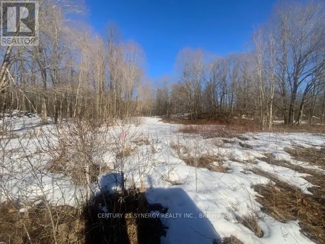 00 LOT 1 COUNTY  RD 10 ROAD