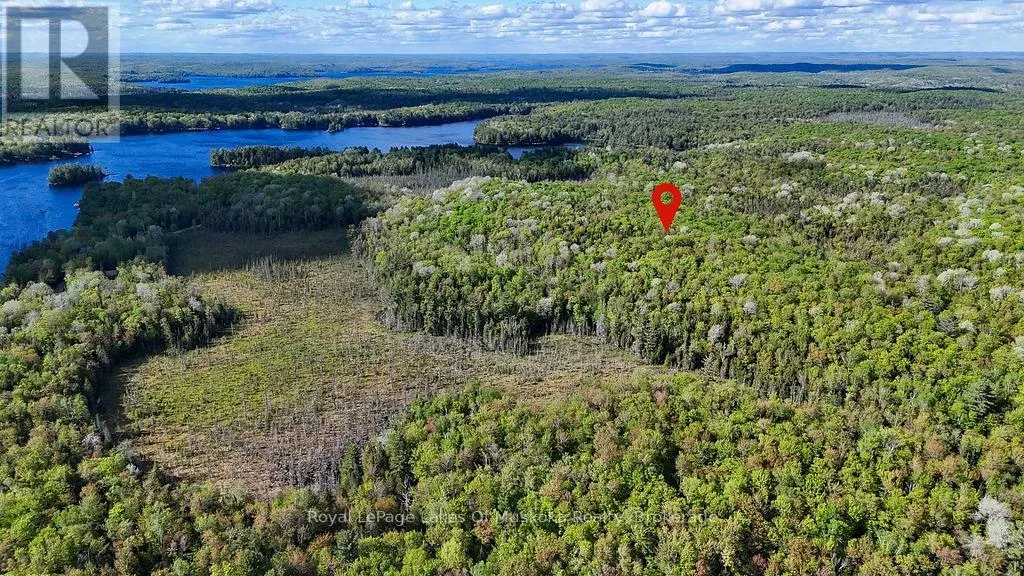 1356 DICKIE LAKE ROAD