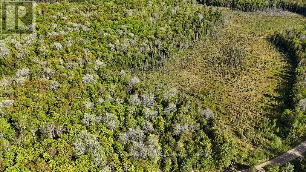1356 DICKIE LAKE ROAD