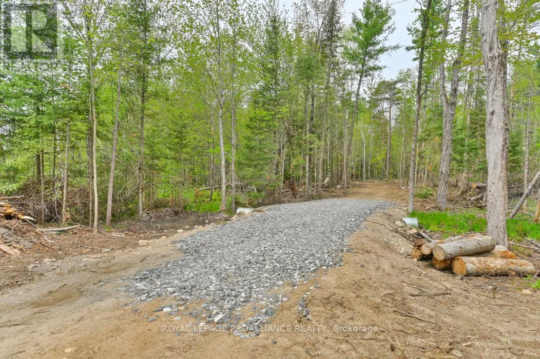 1031 ROAD 506