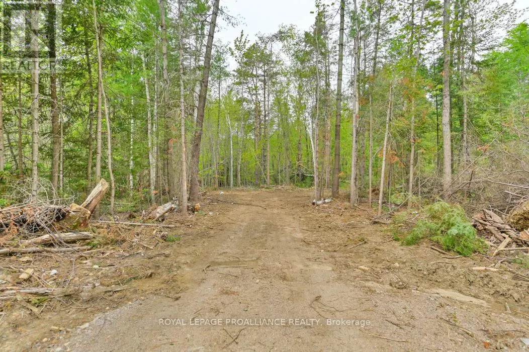 1031 ROAD 506
