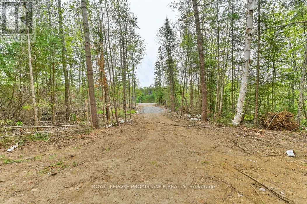 1031 ROAD 506