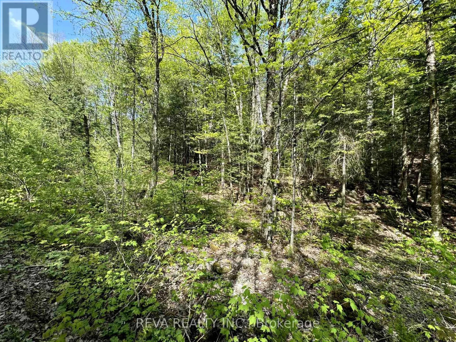 0 SALMON TROUT LAKE ROAD