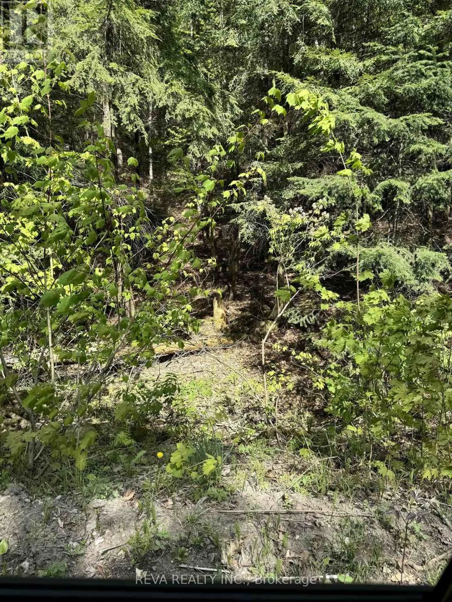 0 SALMON TROUT LAKE ROAD