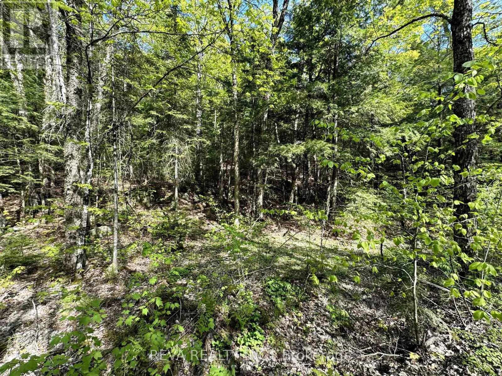 0 SALMON TROUT LAKE ROAD