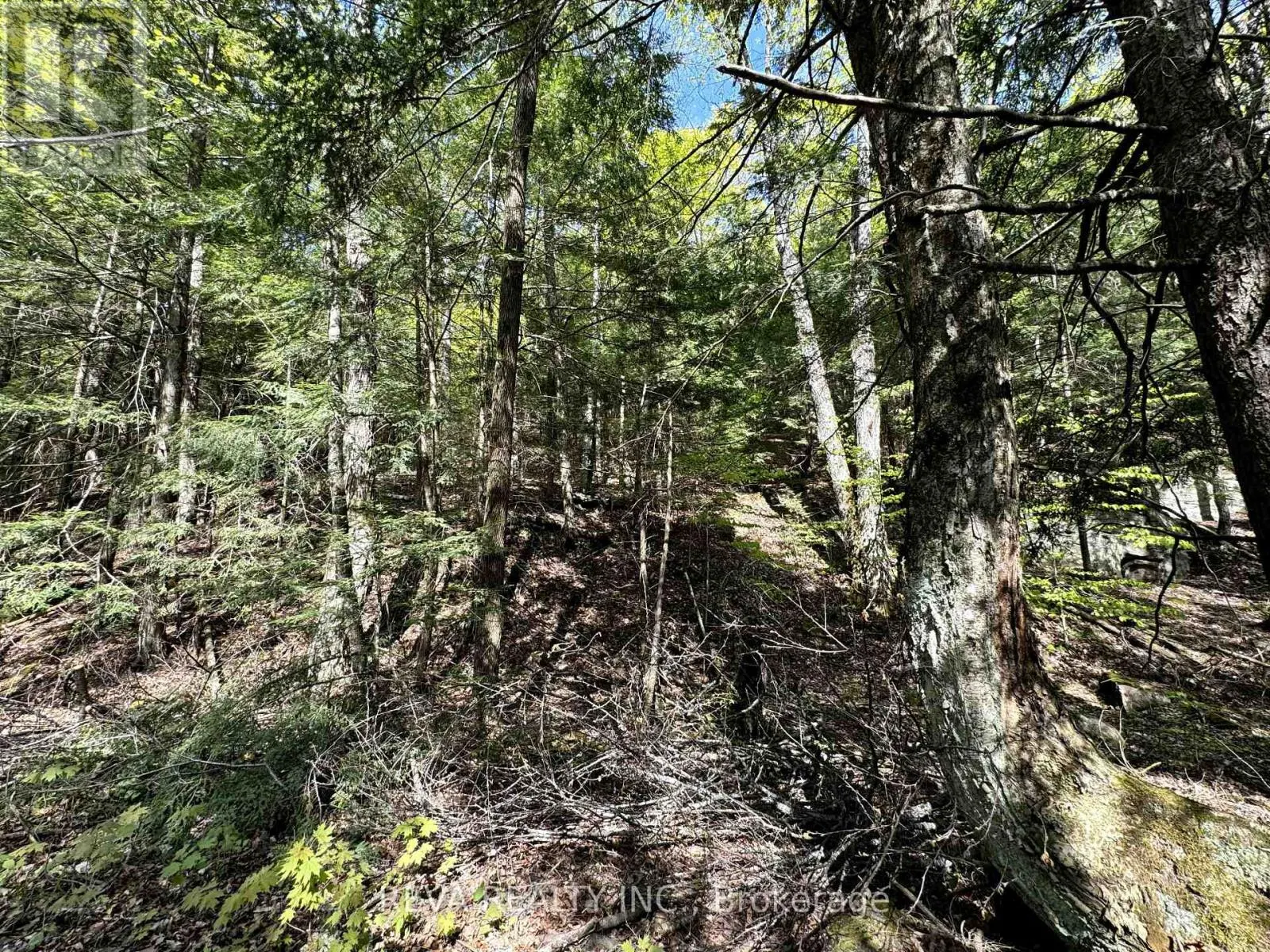 0 SALMON TROUT LAKE ROAD