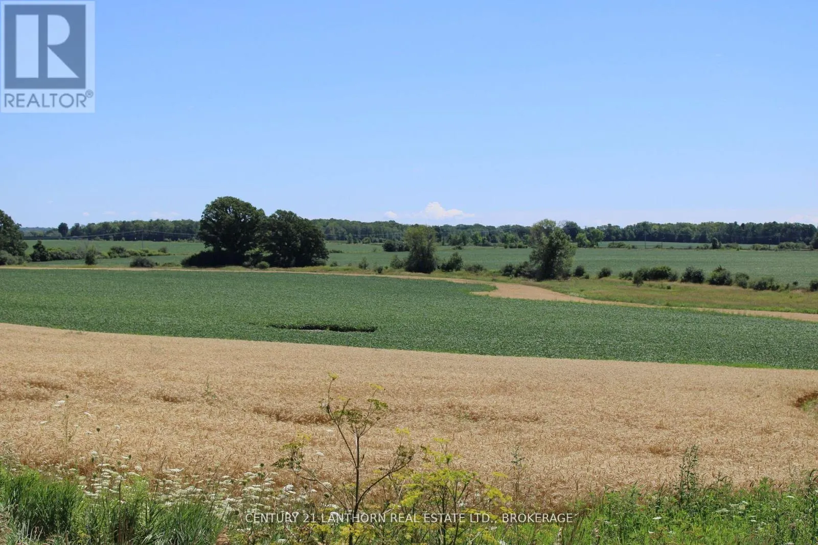LT15-16 COUNTY ROAD 1 W