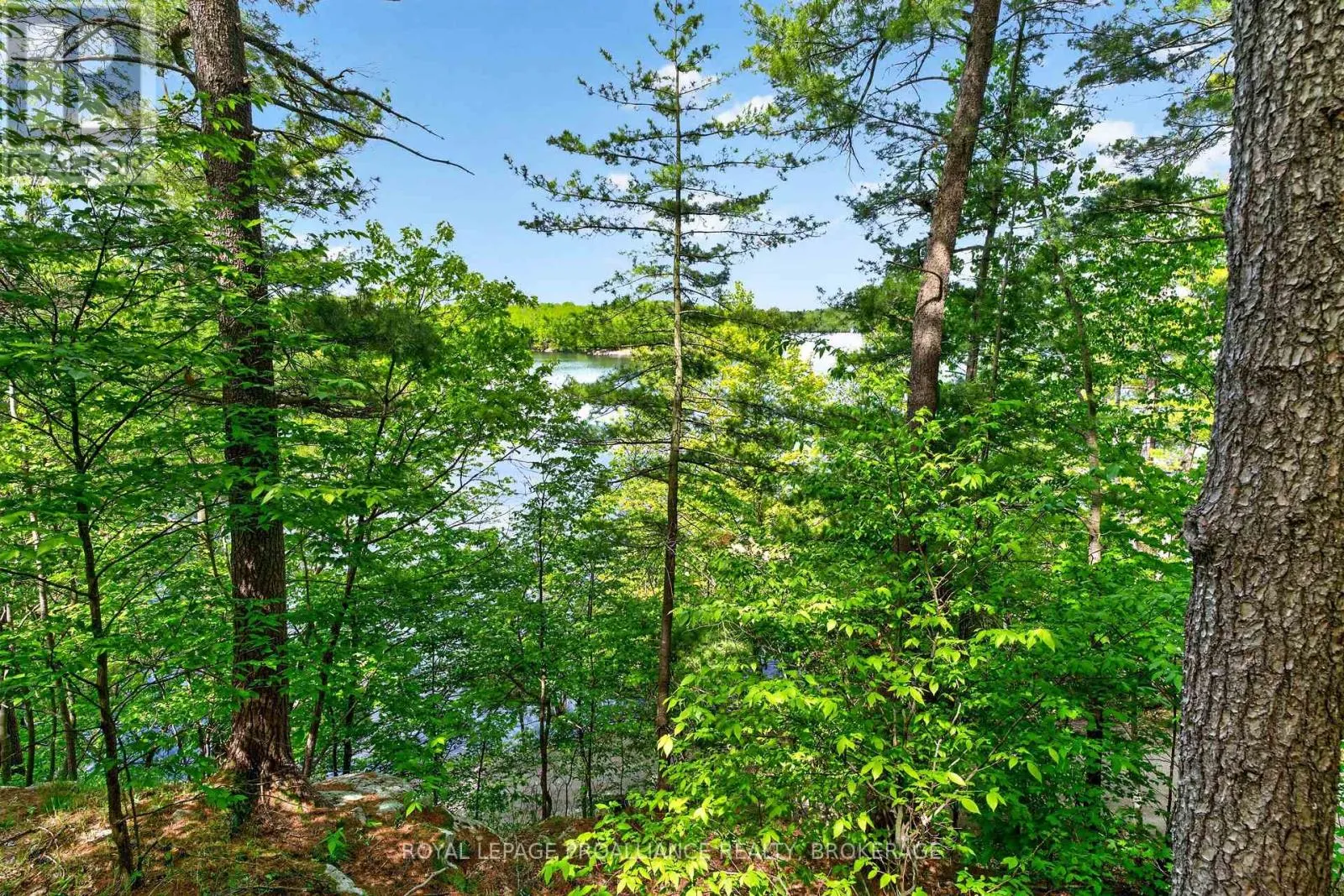 450 BROOKS POINT ROAD