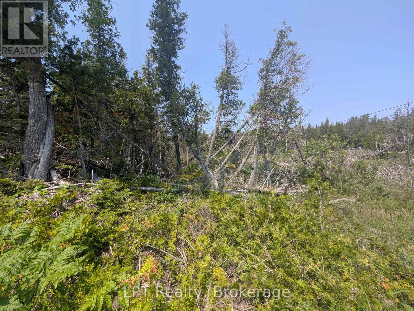 1226 DORCAS BAY ROAD