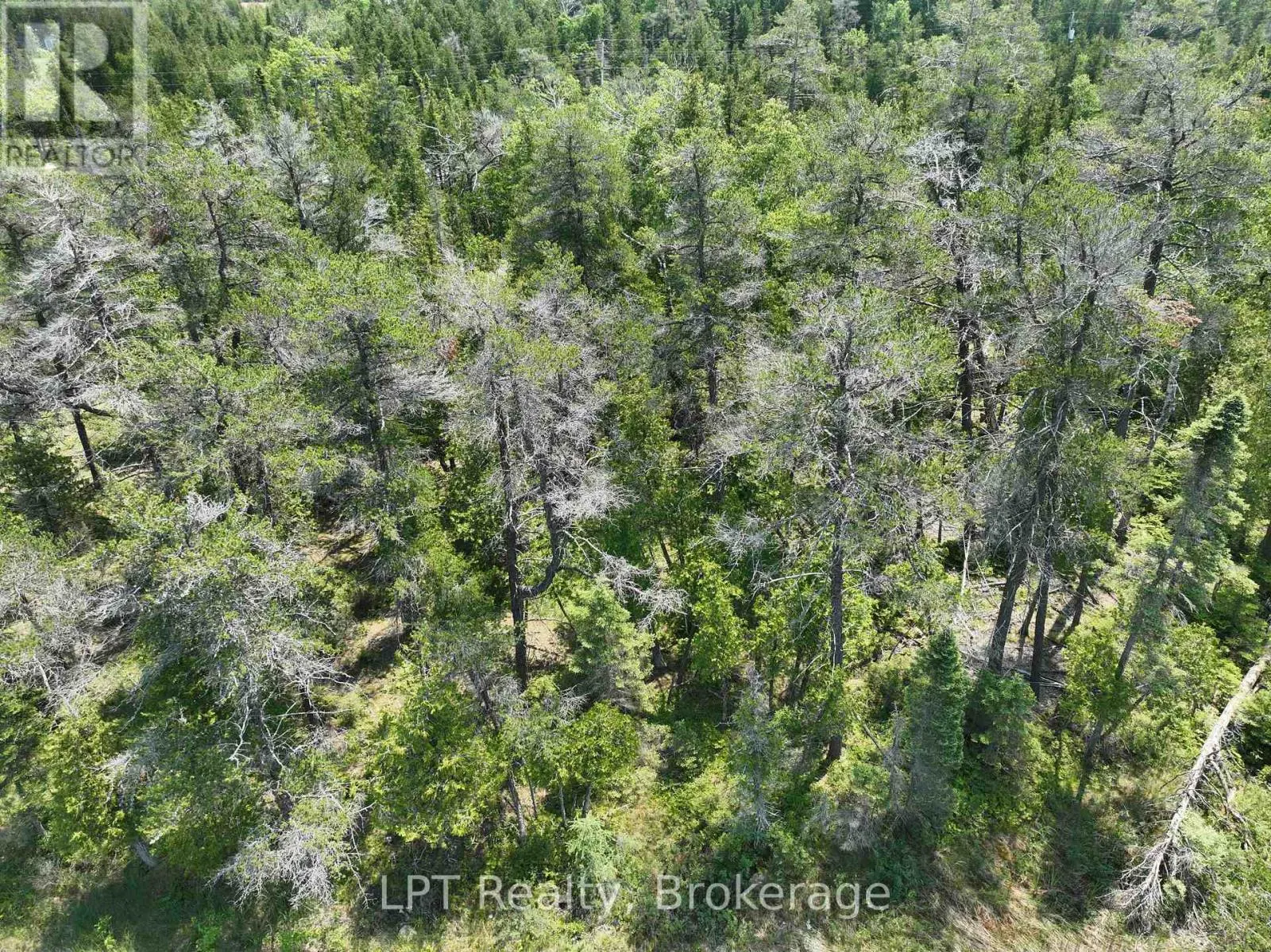 1226 DORCAS BAY ROAD